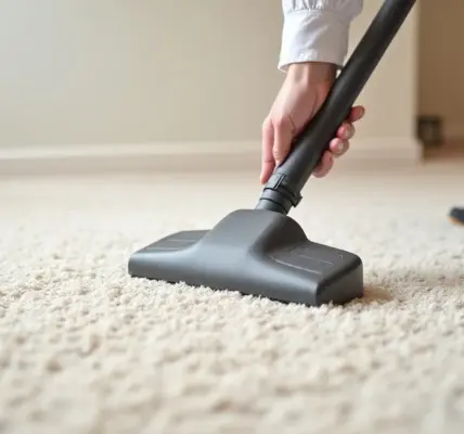 How to Clean Mold Out of Carpet: A Practical Guide