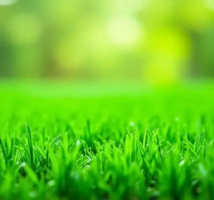 How to Clean Turf Grass: A Simple Guide for a Green Lawn